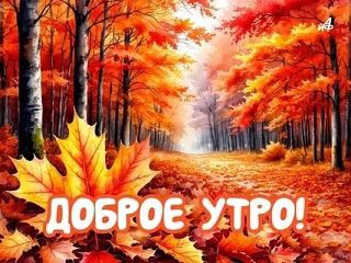  в LOOKY — публикация