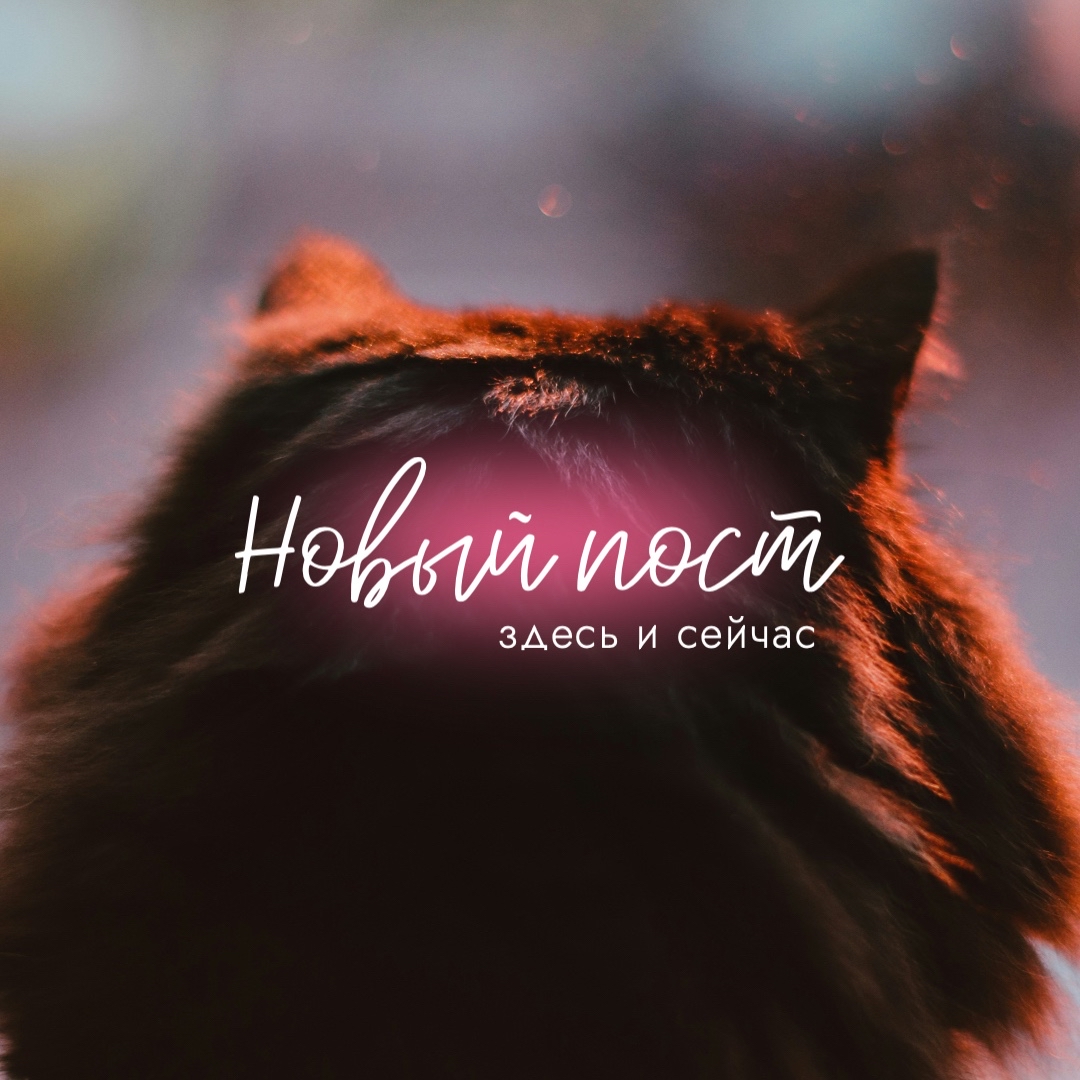 Marianna MELODRAMATIC в LOOKY — Кто не торопится — тот не опаздывает.

Всё происходит тогда,