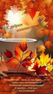 irina b. в LOOKY — Доброе осеннее утро!☕🍪Хорошего дня,прекрасного настроения,х