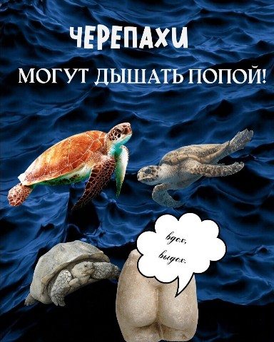Sюrr_ в LOOKY. #факт. Интересно, как?
#фак...