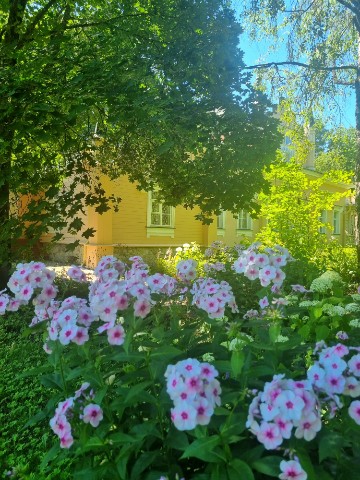 My photos в LOOKY. #извара,#лето,#июль. #извара #лето #июль
