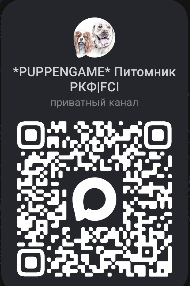 puppengame в LOOKY. . У нас появился канал...