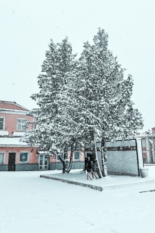shtu4ka1002 в LOOKY. #природа,#весна,#уприродынетплохойпогоды. [#spring ](spring)[#...