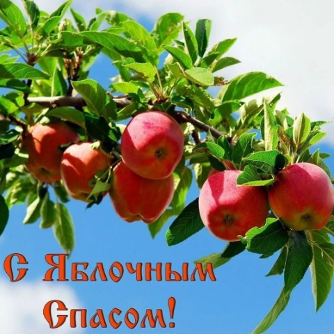 Алексей Клёпов в LOOKY. #яблочныйспас,#алексейклёпов,#alekseyklepov. С Яблочным Спасом!

...