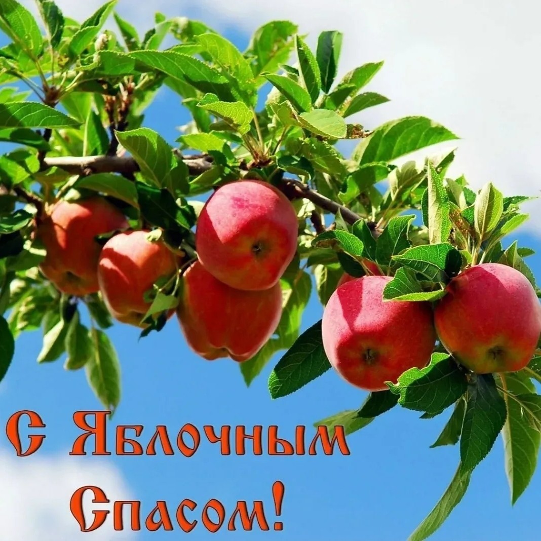 Алексей Клёпов в LOOKY — С Яблочным Спасом!

#яблочныйспас #алексейклёпов #alekseykle
