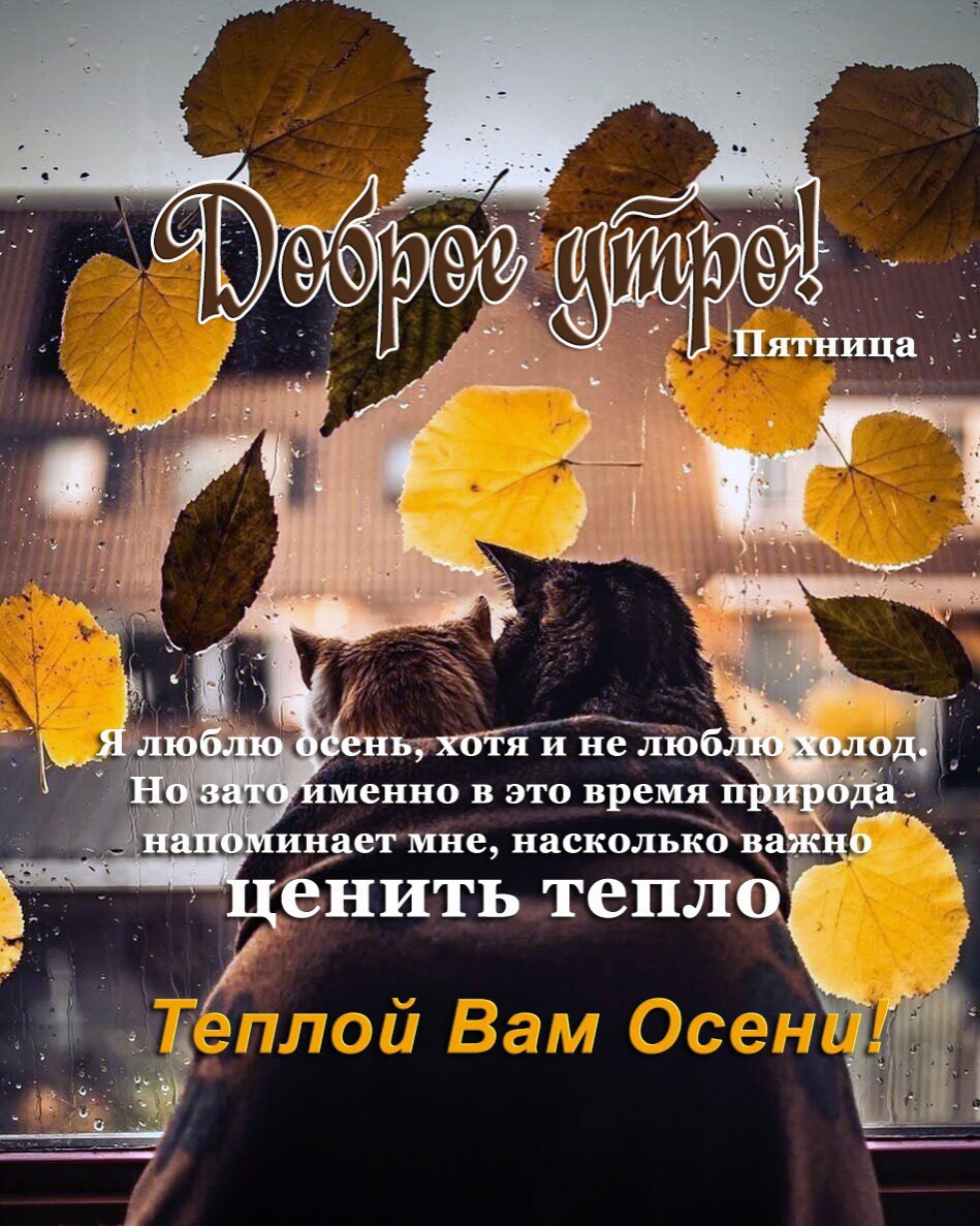 Лёля в LOOKY. . 