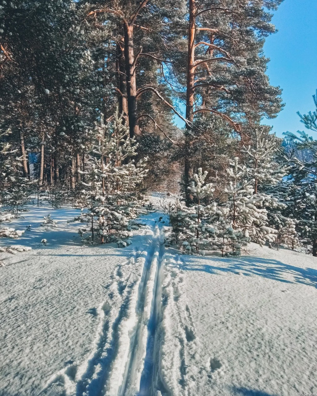 Serafima в LOOKY — Снег хрустит, на улице - 25С, никого. Так красиво😍 и холодн