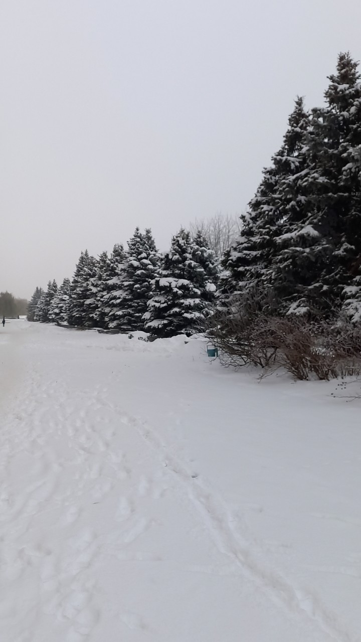 Елена in LOOKY. . Зимушка зима