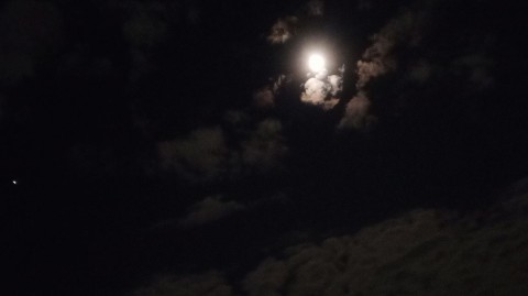 ola._.73 в LOOKY. #путешествие_в_будущее. #путешествие_в_будущ...