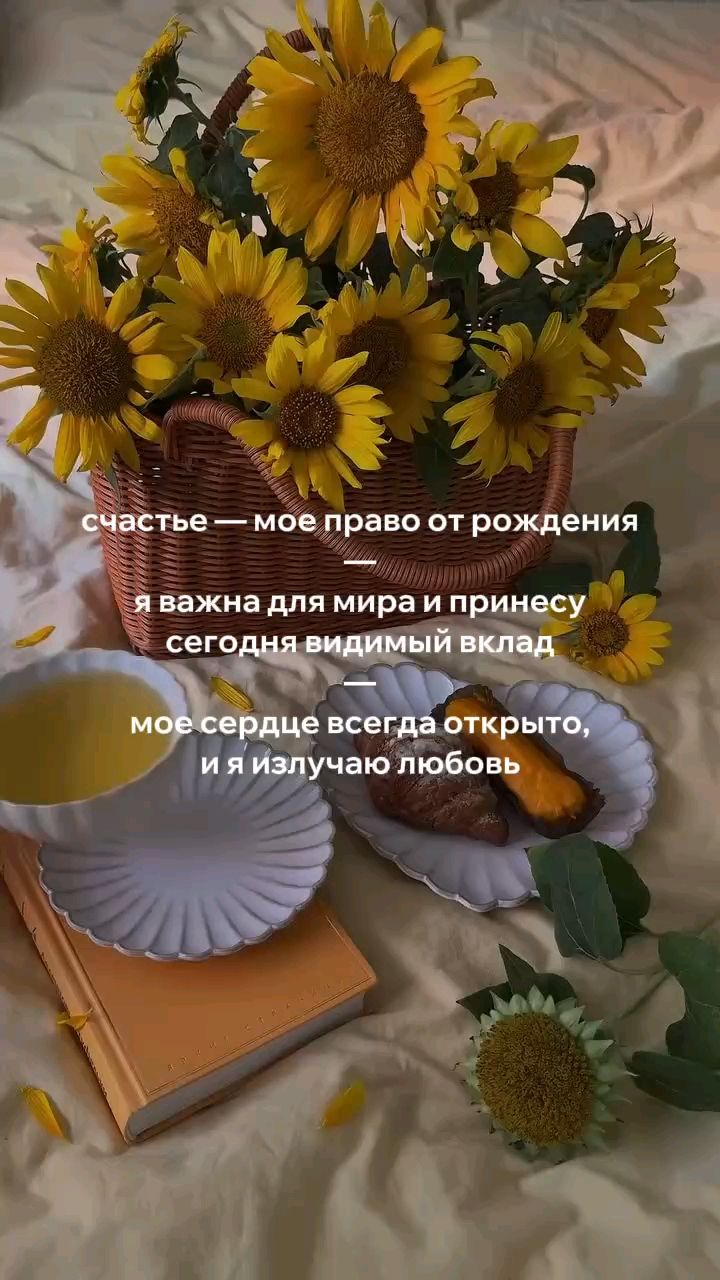 Svet_ya_ в LOOKY — 🌼Пусть этот день начнётся спокойно, без спешки и лишних мыс