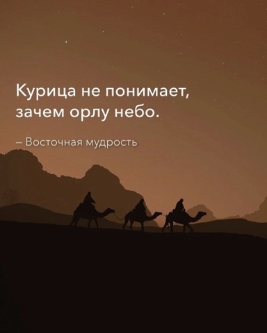 Welfare в LOOKY. #мудрость. #мудрость