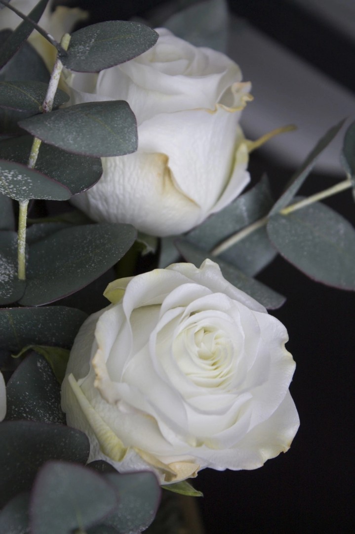 irinabogdanova_flowers в LOOKY — фото 3