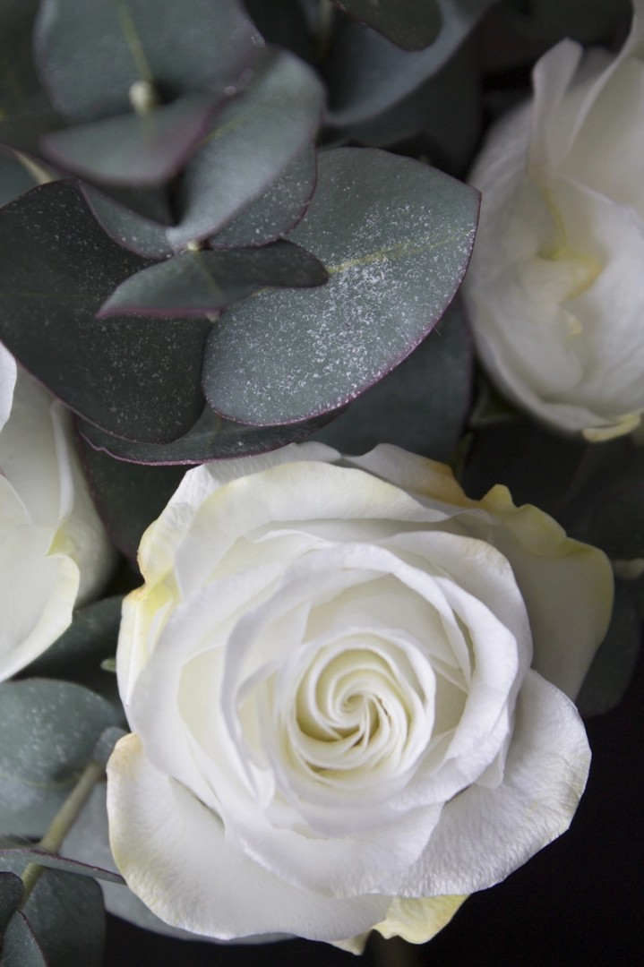 irinabogdanova_flowers в LOOKY — фото 7