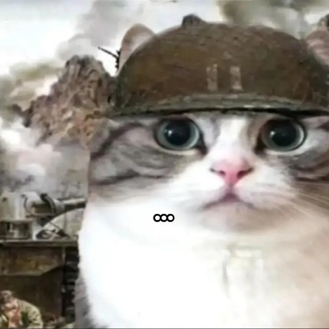 SA__AVII в LOOKY. . Пиздец