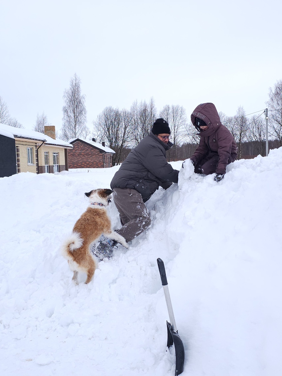 sergey_ve4erkins в LOOKY — фото 2