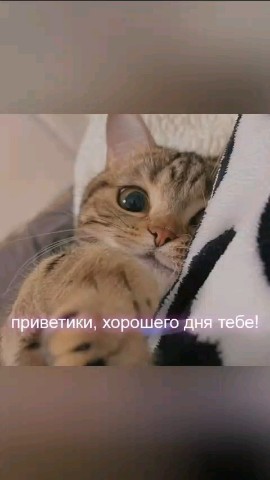 Федорова Александра
