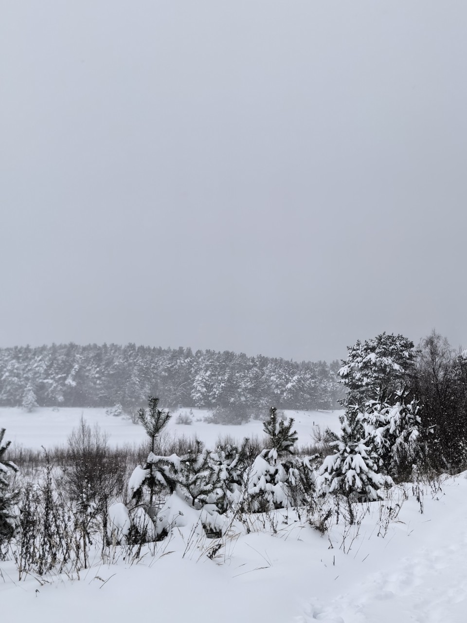 Юрий Эл в LOOKY — фото 6