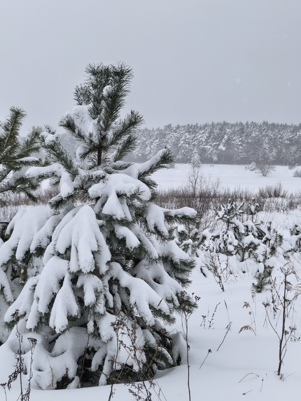 Юрий Эл в LOOKY — фото 5