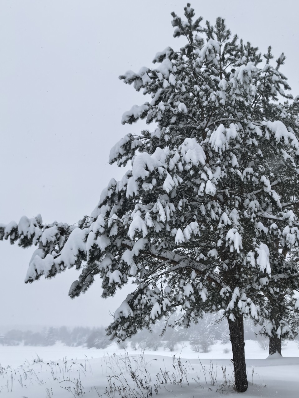 Юрий Эл в LOOKY — фото 3