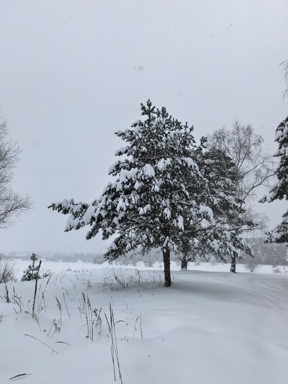 Юрий Эл в LOOKY — фото 2