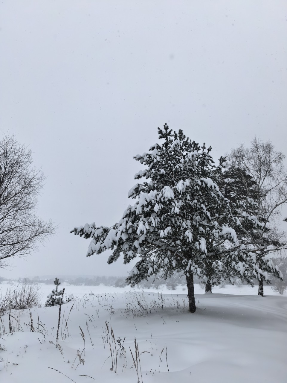 Юрий Эл в LOOKY — фото 4