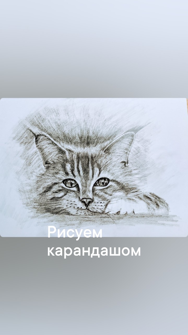 Рисунок карандашом. 

Карандаш#рисунок#