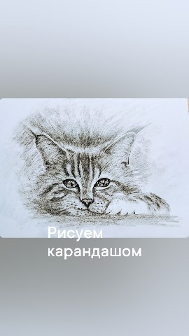 Looky_1707596721491 в LOOKY. . Рисунок карандашом. ...