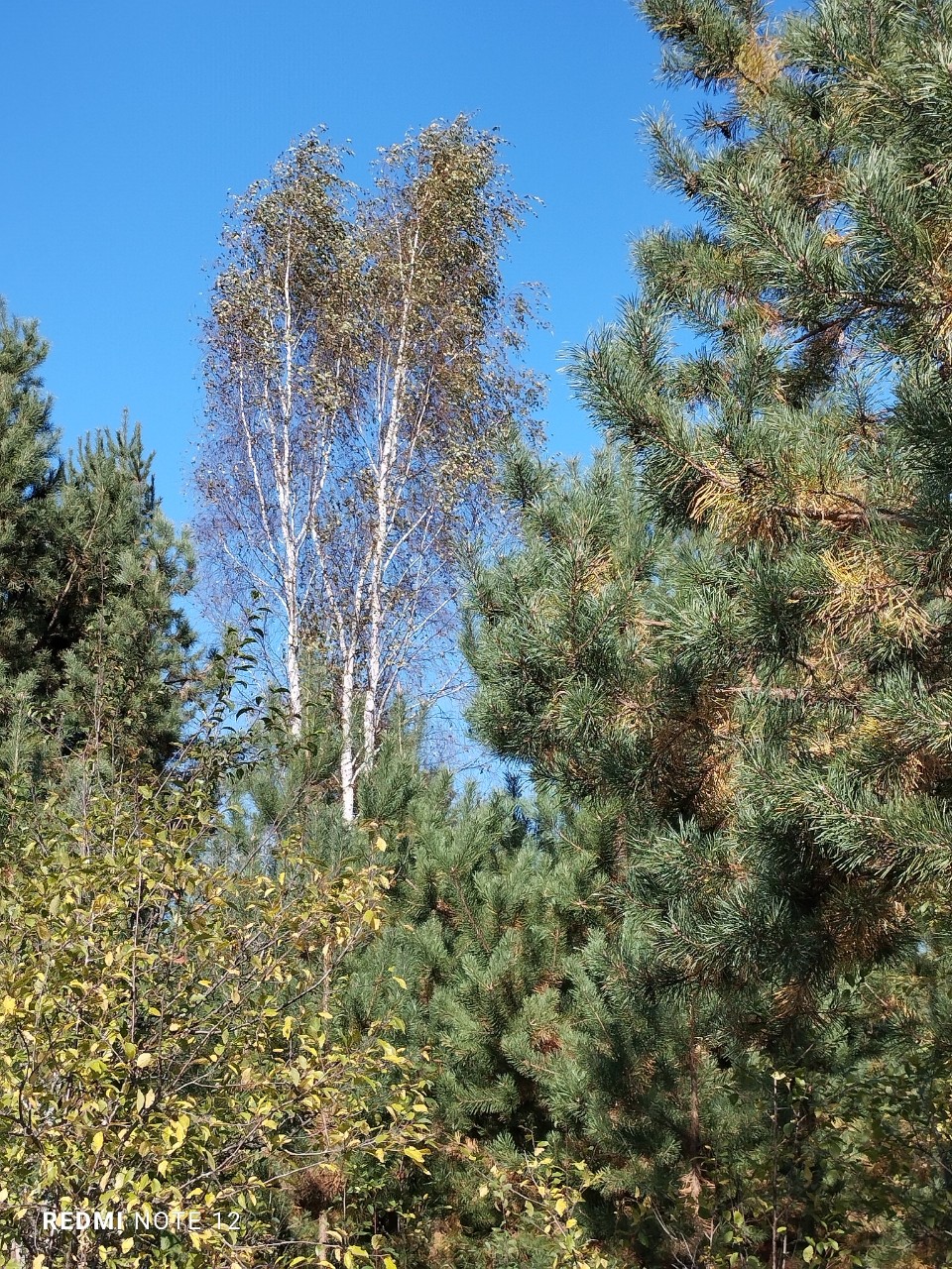 юля кузнецова в LOOKY — фото 4