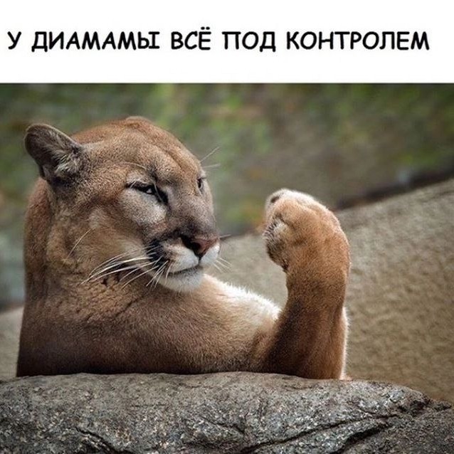 karanaevarimma