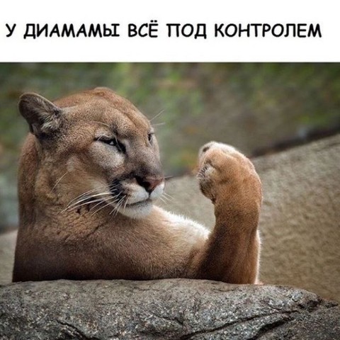 karanaevarimma в LOOKY. . 