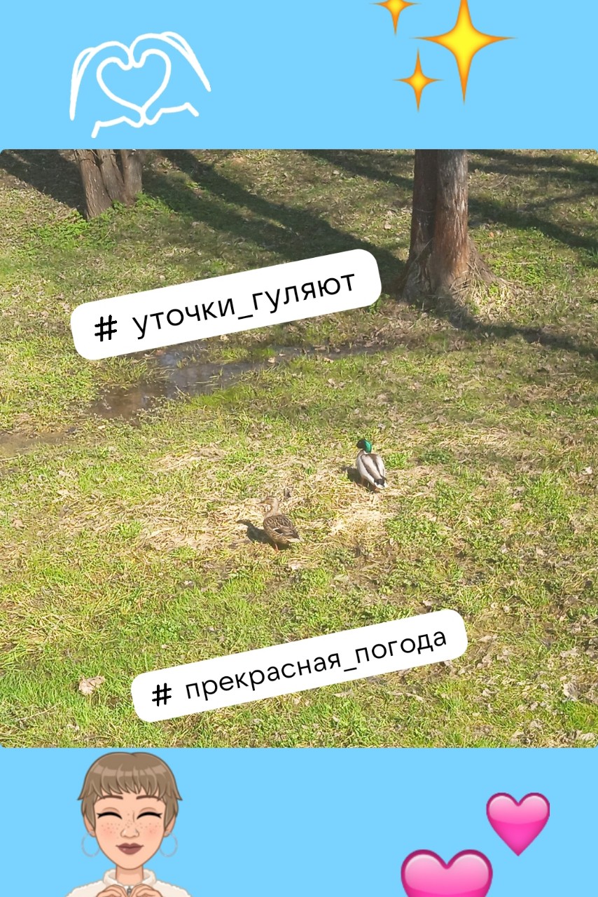 Сахарный Котёнок в LOOKY — [#looky_новыйпост ](looky_новыйпост)
[#вечнаякрасота ](вечна