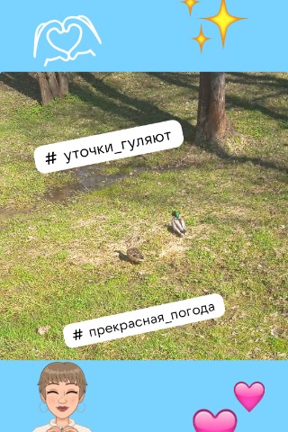 Сахарный Котёнок в LOOKY. . [#looky_новыйпост ](...