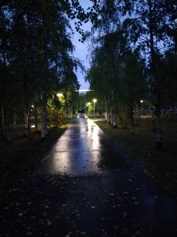 Looky_177936456966307 в LOOKY. . После дождя ☔💦