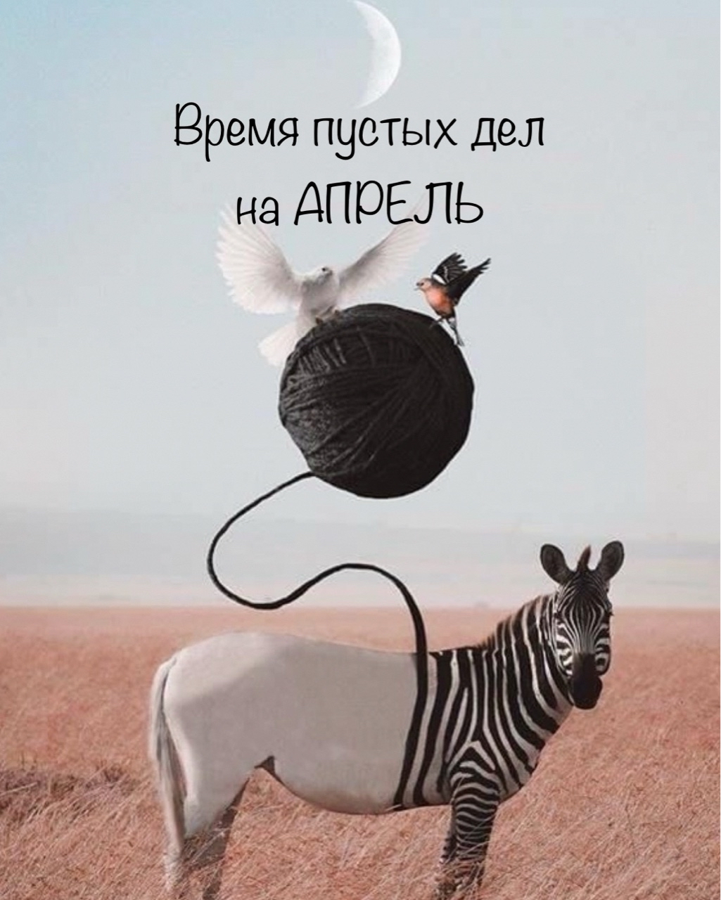 Astropata в LOOKY — Считается, если начать дело на Луне без курса, то оно не буд