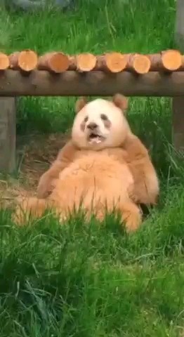Looky_1706006912107 в LOOKY. . 😴😴😴😴😴