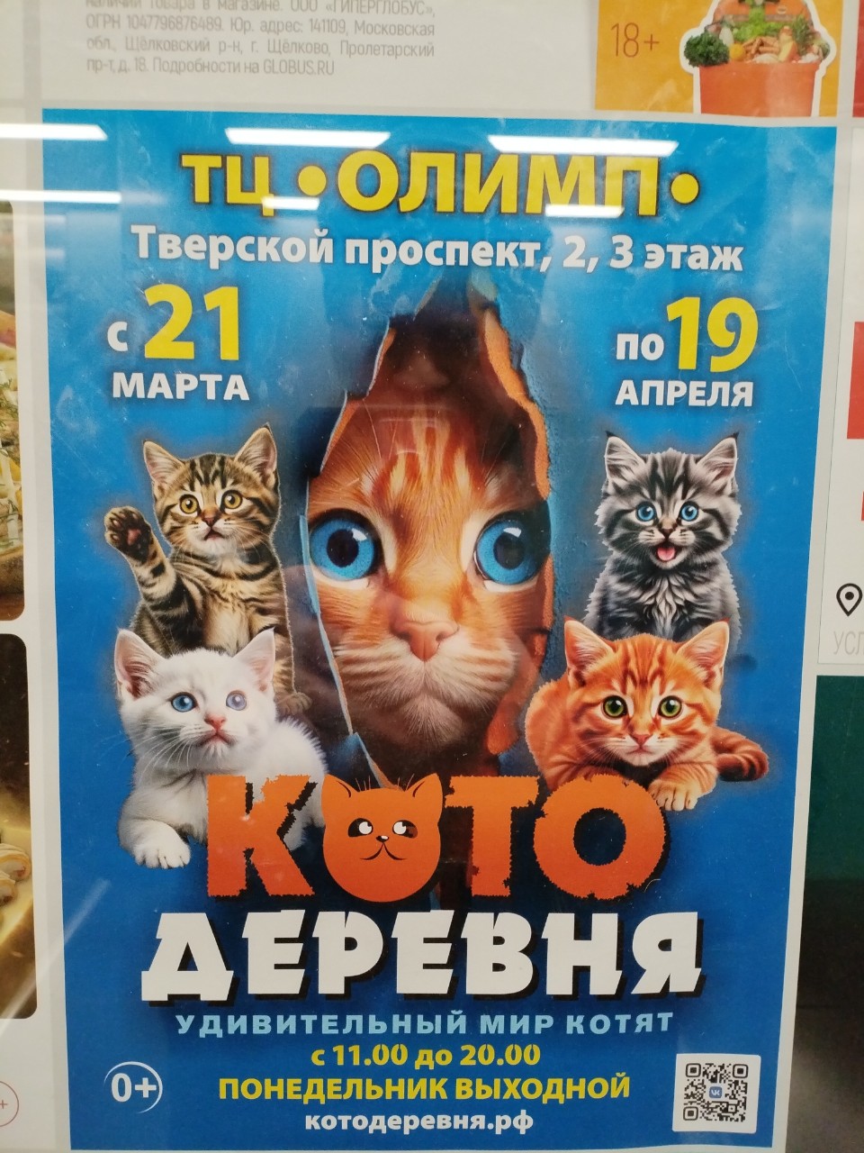 Провинция в LOOKY — Для любителей котиков! #влог [#котики ](котики)