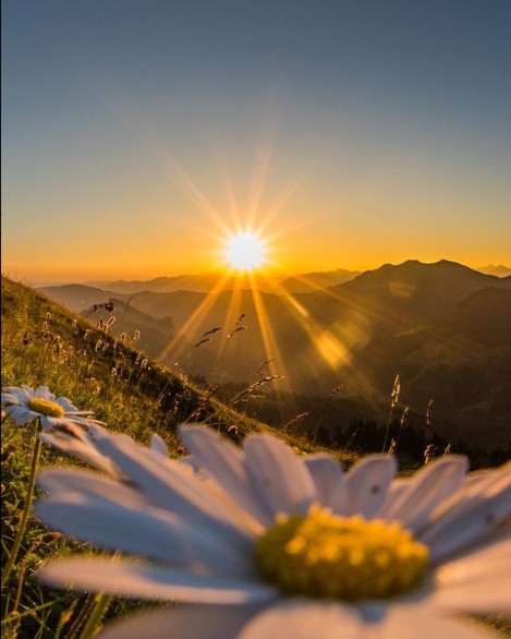Timur_Manukyan in LOOKY. . Доброе утро 🌅