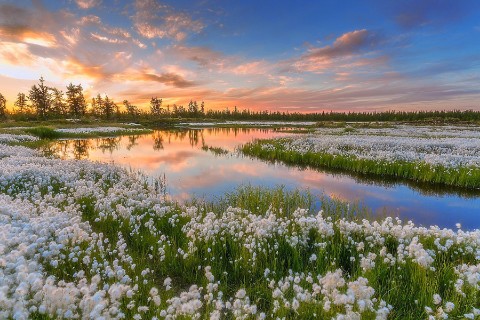Looky_174793009122232 в LOOKY. . 