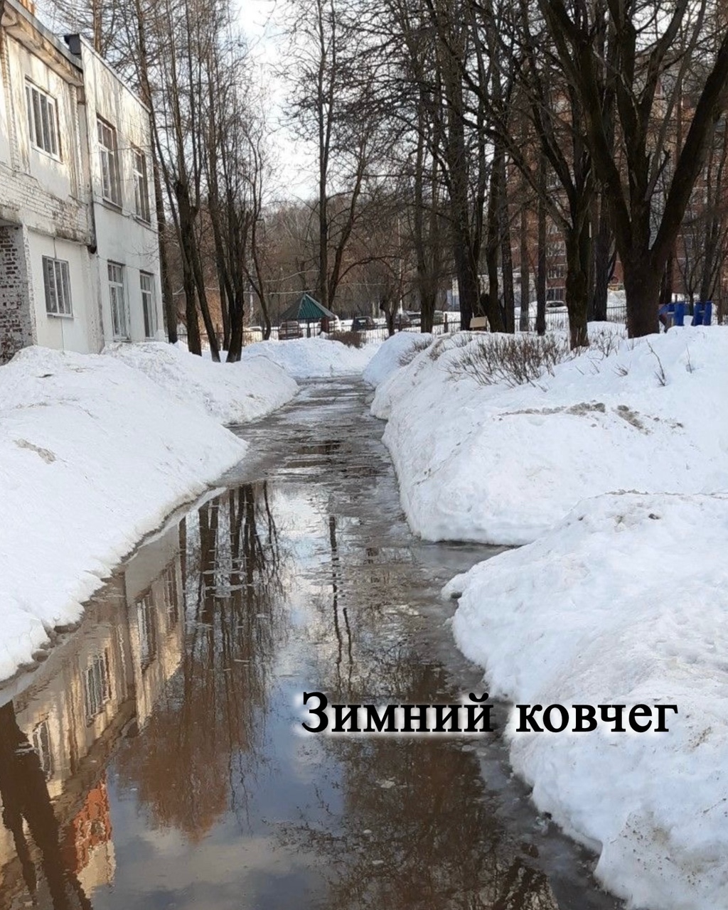 Зимний ковчег

Побежали по серым дорогам живые ручьи,
Эти первые капли пока совершенно ничьи,
И капель затянула забытые песни свои,
Потому что похмельно проснулась от спячки природа.

Во дворах оседает безвольно растаявший снег,
Ускоряет вода свой нестройный рокочущий бег,
И готовит для плаванья зимний великий ковчег,
Отражая в холодной воде синеву небосвода. 
#пейзажная_лирика #зимнийковчег
#март #стихиовесне #весеннеенастроение