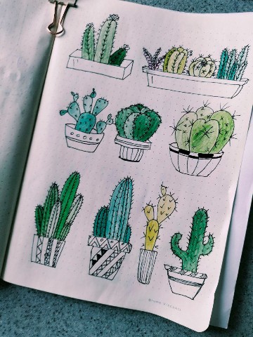 Olgaf314 в LOOKY. #reels,#drawing,#pencilart,#artweek,#sketchbook,#sketch,#inspiration,#muse,#drawingsketch,#cactus,#peyote. ART week Day 3 #reel...