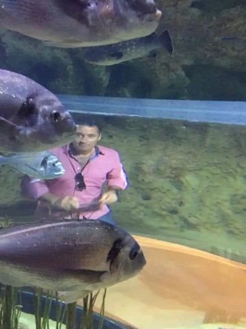 Sam Fisher в LOOKY. . Acuario...? 😌