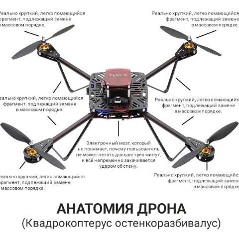 Cyberlioness в LOOKY. . 