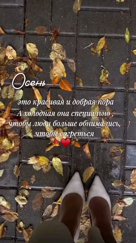 ВОЛК СЕРЫЙ в LOOKY — публикация