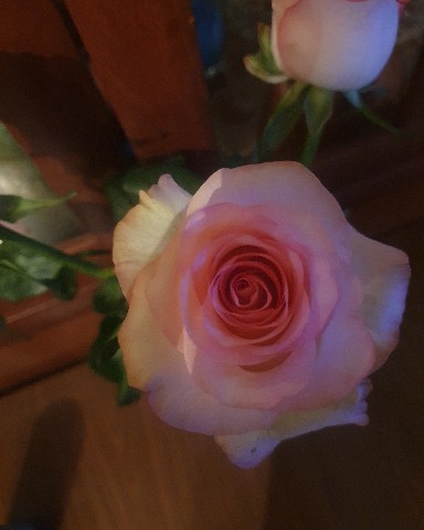 Looky_1696017798974 в LOOKY. . ❤happiness