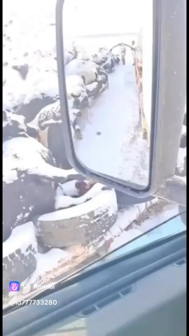 Александр   Александр в LOOKY — публикация