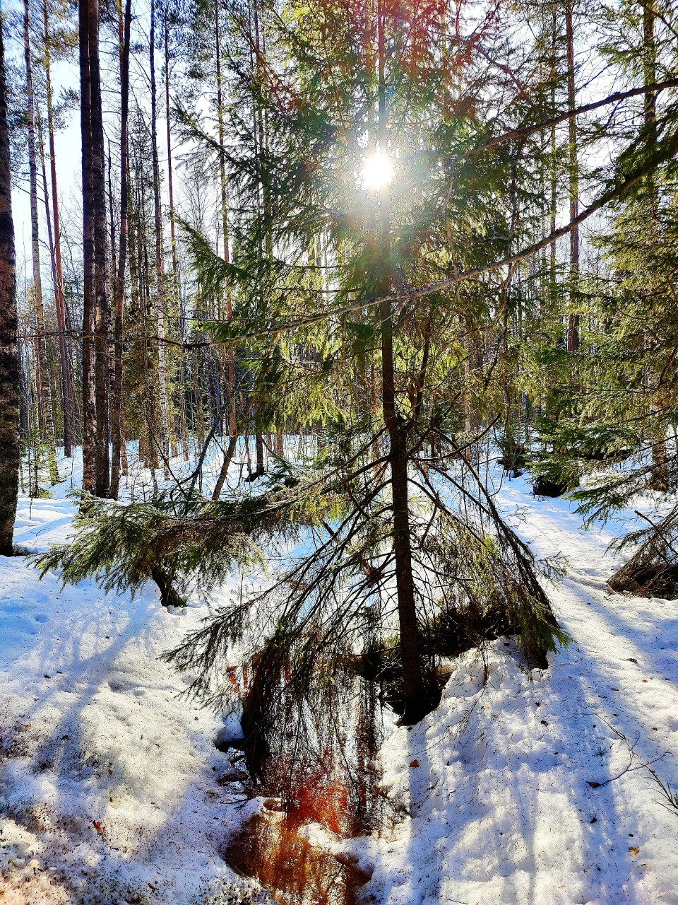 Виктор в LOOKY — фото 5