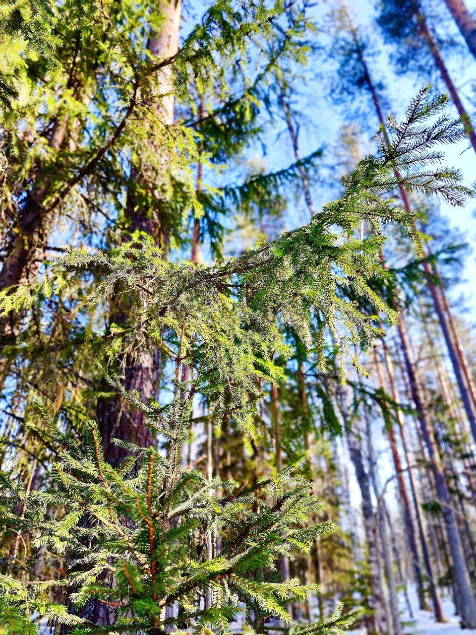 Виктор в LOOKY — фото 4