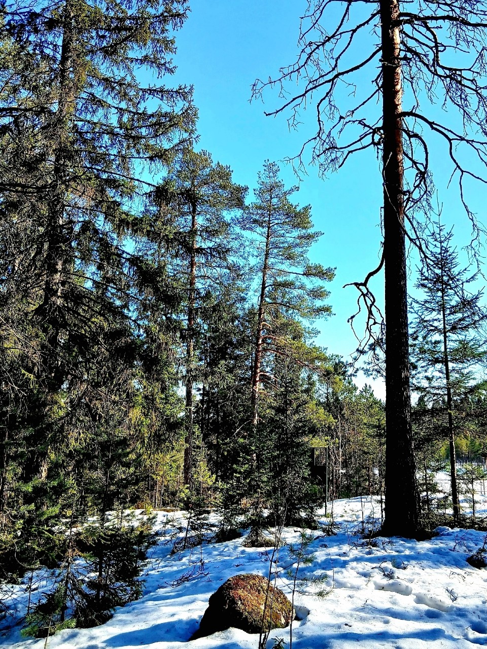 Виктор в LOOKY — фото 3