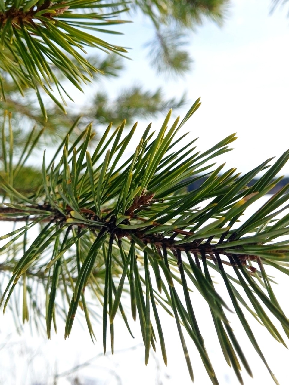 Виктор в LOOKY — фото 2