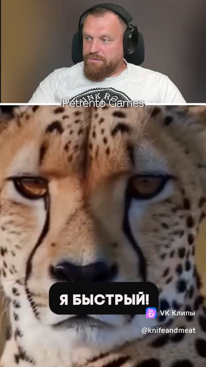  в LOOKY — публикация